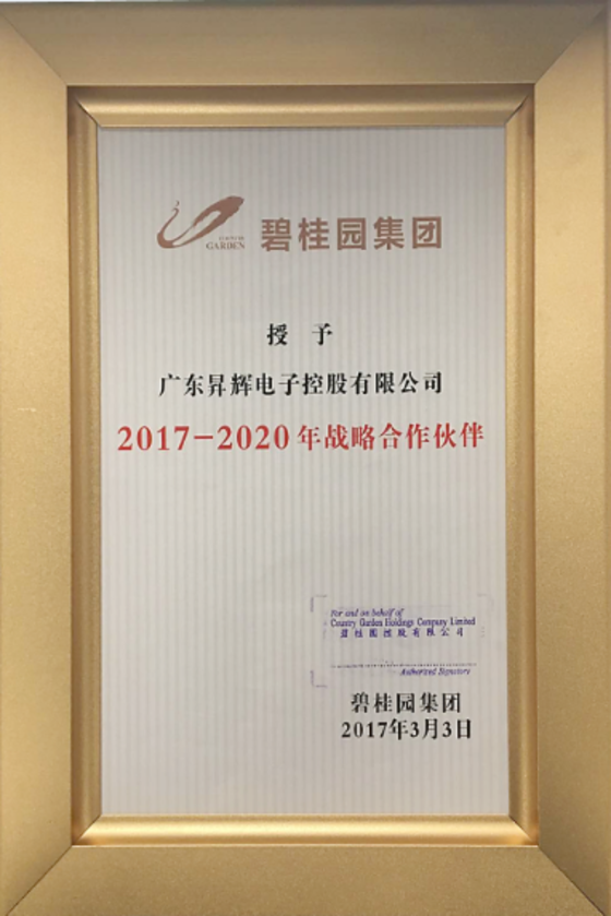 2017-2020年戰略合作伙伴